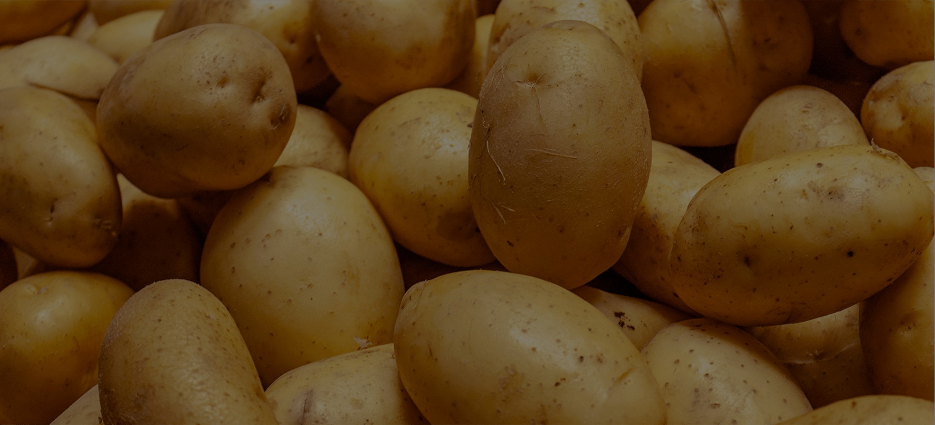 potatoBg.jpg