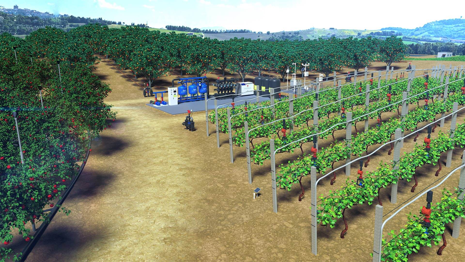 crop_solutions_back3.jpg