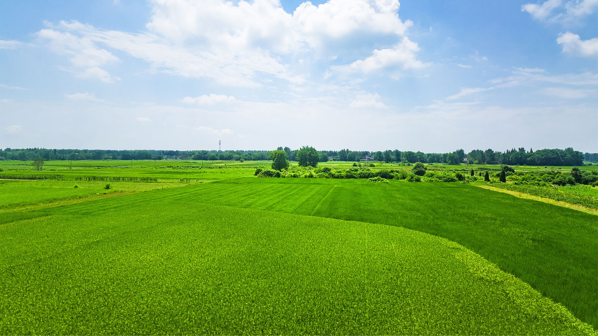 crop_solutions_back2.jpg