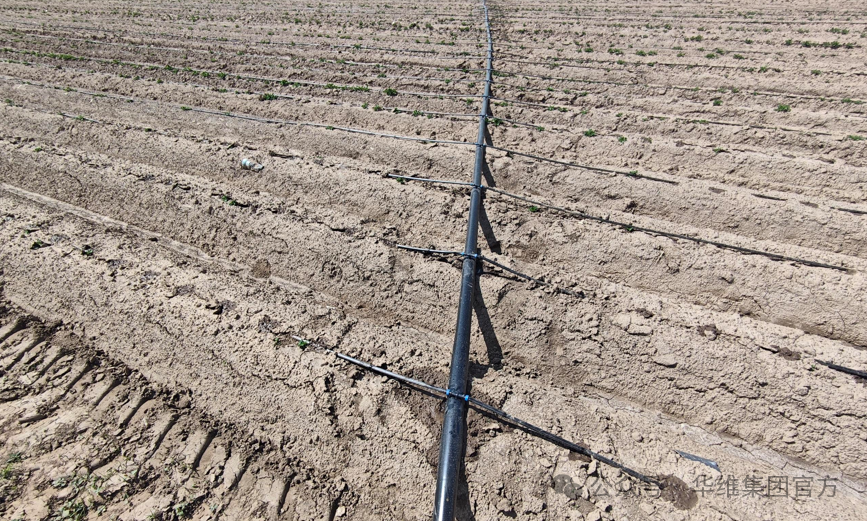 微信图片_2025-11-27_102443_368.png 微信图片_2025-11-27_102443_368.png