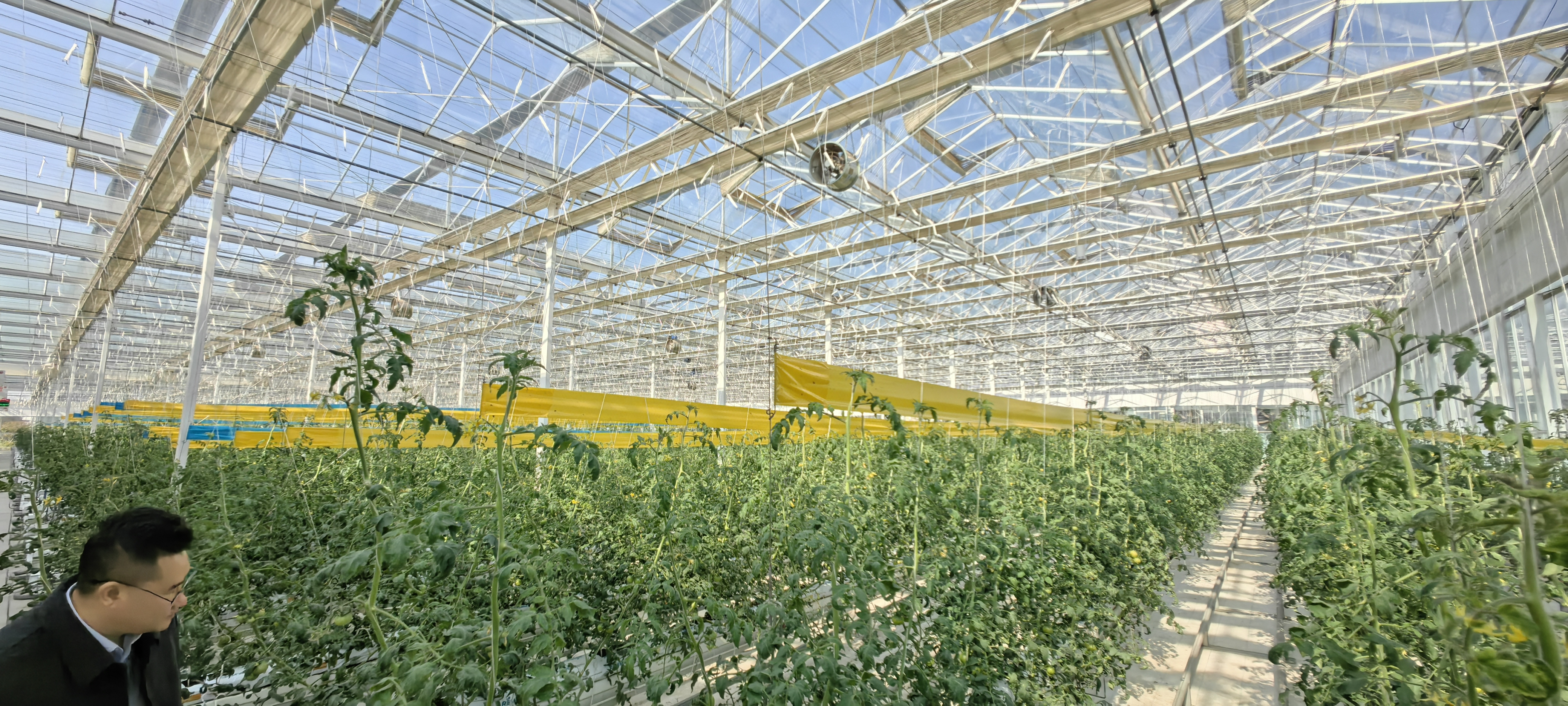 微信图片_20251211142759_165_21.jpg 微信图片_20251211142759_165_21.jpg