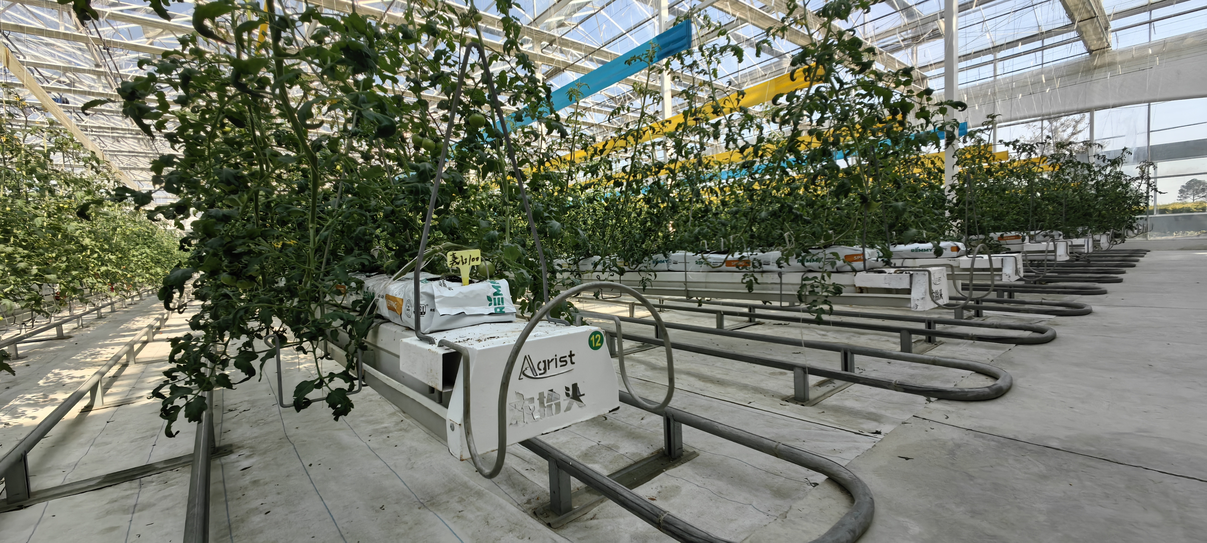 微信图片_20251211142755_164_21.jpg 微信图片_20251211142755_164_21.jpg