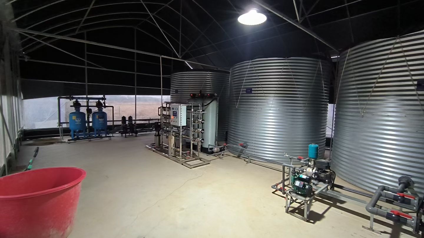 微信图片_20251211142803_167_21.jpg 微信图片_20251211142803_167_21.jpg