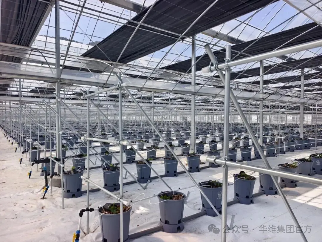 640 (1).jpg 640 (1).jpg